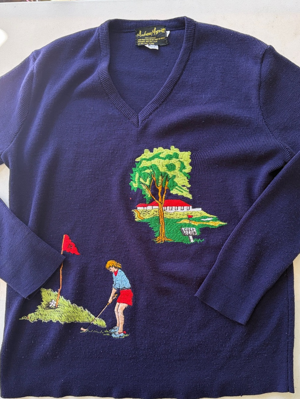 Vintage Andreno Argenti Golf Themed Embroidered Navy Blue V-Neck Sweater